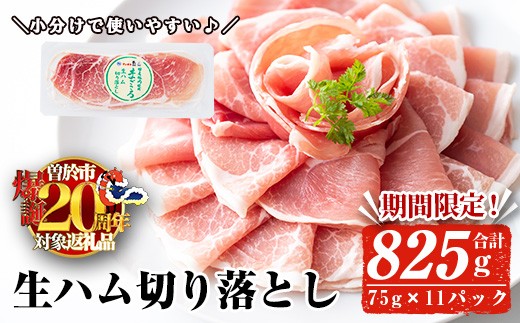 【期間限定企画！】＜2026年1月中に発送予定＞国産豚生ハム切り落とし75g×11P(計825g) 生ハム おつまみ 小分け 【ナンチク】A302-01-v02