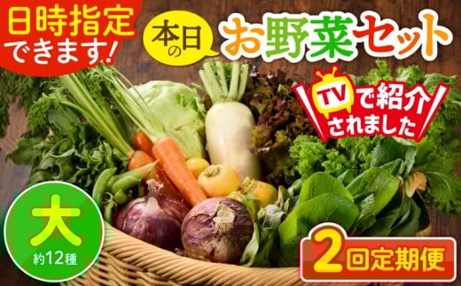 [2回定期便]日時指定OK!本日のお野菜セット [大サイズ/約12種] 4人以上用 新鮮 産地直送 野菜詰め合わせ 有機栽培 野菜 果物 野菜セット 野菜定期便 送料無料 [オーガニックのまち 宮崎県綾町]