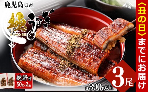 [丑の日までに配送]楠田の極うなぎ蒲焼き 130g以上×3尾(計390g以上) 焼肝2袋付き b0-040-us