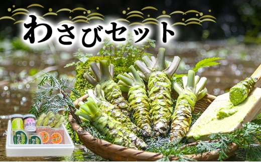 とれたて わさび セット 池 伊豆わさび食品直送 生わさび 4本 手作り わさび漬け 天城の春 三杯酢漬け わさびみそ むらさき漬 醤油漬け 伊豆 ワサビ 茎 加工品 加工食品 薬味 詰め合わせ 静岡 調味料 [№5227-0352]