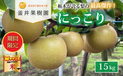 ＼9末まで 寄附額改定／にっこり 15kg 18～24玉 ｜ 栃木県産 宇都宮市 梨 なし にっこり フルーツ 果物 ※離島への配送不可 ※2025年10月上旬頃より順次発送予定