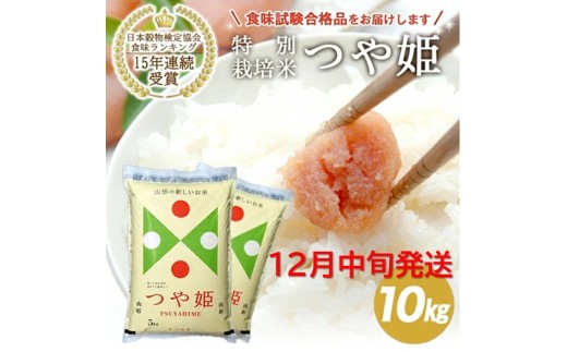 12月中旬配送／令和7年産【精米】山形県産 特別栽培米 つや姫　10kg(5kg×2袋) JS SE0434