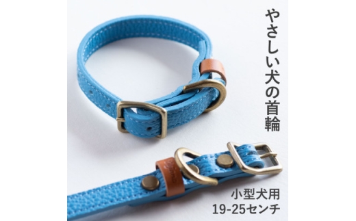 首輪 本革 イタリアンレザー ブルー 小型犬用 (19-25センチ)ペット用品＜dc-01ss＞【1661919】