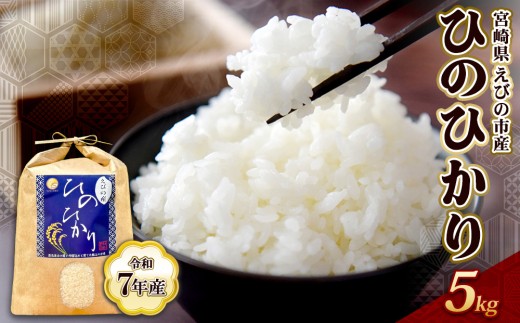《令和7年産先行予約》【2025年12月発送】米 ひのひかり 5kg 九州 霧島 えびの産 ヒノヒカリ 発送直前に精米 農家 直送 お米 おこめ こめ コメ 白米 ふるさと納税 5キロ 九州産 宮崎県産  宮崎県 送料無料