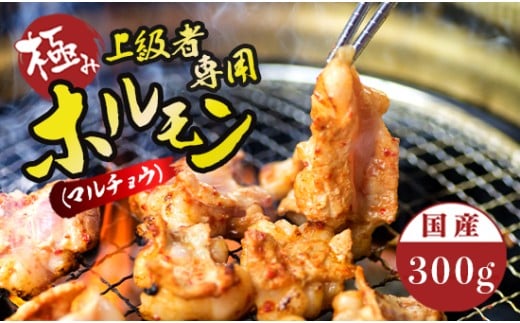 国産 牛 極上 上級者専用 ホルモン ( マルチョウ ) 300g 附属タレ付き | 冷蔵 丸腸 もつ鍋 タレ揉み 中元 ギフト お祝いモン モツ 丸腸 まるちょう 焼き肉 BBQ 味付け肉 キャンプ アウトドア 京都 舞鶴