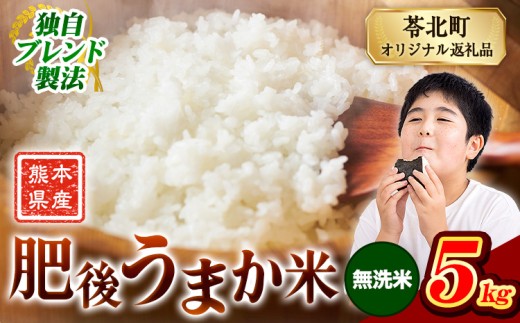 米 熊本県産 肥後うまか米 5kg 無洗米 精米 こめ コメ お米 おこめ ブレンド米[9月下旬-11月上旬頃出荷]熊本県産 コメ お米 おこめ