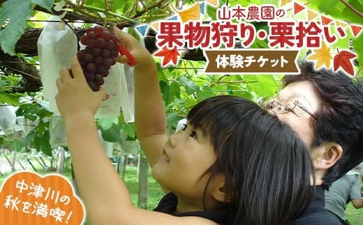 果物狩り、栗拾い体験チケット 山本農園 体験 体験チケット チケット F4N-2516 2274607 - 岐阜県中津川市