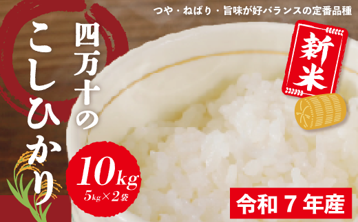 米 10kg 【 新米 令和7年産 】 四万十 の こしひかり 5kg ×2袋 国産 1等米 予約 コシヒカリ 精米 お米 白米 ごはん ご飯 おいしい ふっくら もちもち 高知県 高知 四万十市 しまんと 土佐【2025年9月より順次配送】25-149