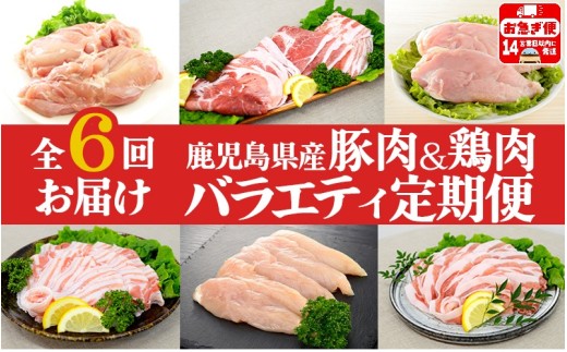 I9-0402／【6回定期便】鹿児島県産 豚肉＆鶏肉 バラエティ定期便