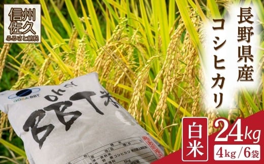 【令和7年産・白米24kg（4kg×6袋）】特別栽培米　BBT米（五郎兵衛米） 〈2025年10月中旬頃～順次発送〉 先行予約　新米　信州　こしひかり【 米 コメ 白米 精米 お米 こめ おこめ 新米予約 備蓄品 コシヒカリ 長野県 佐久市 】 2263323 - 長野県佐久市