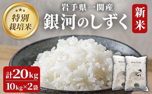 ＜新米先行予約＞令和7年産 特別栽培米 銀河のしずく 20kg 清流が育んだお米 げいび清流米