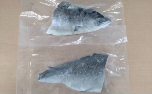 北海道産 塩時鮭 姿切身（半身） 約600g （300g×2パック） [ 鮭 さけ 時鮭 貴重 焼き魚 魚 魚介類 サケ ] [№5863-1380]