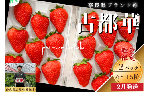数量限定 先行予約 古都華 270g×2パック 2026年2月発送 /// いちご イチゴ 古都華 フルーツ 果物 旬 限定 ブランド 朝採り 完熟 いちご ことか イチゴ 先行予約 古都華 数量限定 古都華 甘い 先行受付 奈良いちご農園coto