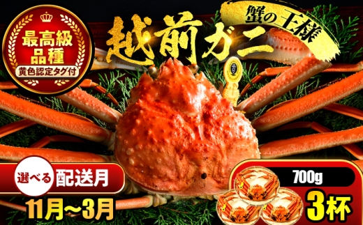 【年内配送】【先行予約】 【11月配送】 越前がに 700ｇ×3杯 小浜市 / まるほ商店 【配送不可地域：北海道・沖縄・離島】[BFCS023-11]