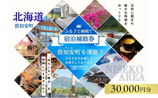 北海道 倶知安町 宿泊 利用 クーポン 【3万円分】 チケット 旅行 ニセコ ホテル  旅行 ニセコ ホテル パークハイアット ニセコ HANAZONO Panorama Niseko 他 リゾート 券 宿泊券