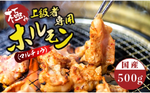 国産 牛 極上 上級者専用 ホルモン ( マルチョウ ) 500g 附属タレ付き | 冷蔵 丸腸 もつ鍋 タレ揉み 中元 ギフト お祝いモン モツ 丸腸 まるちょう 焼き肉 BBQ 味付け肉 キャンプ アウトドア 京都 舞鶴