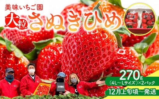 【12月上旬頃～発送】美味いちご園「さぬきひめ」大粒 270g×2パック 595961 - 香川県さぬき市