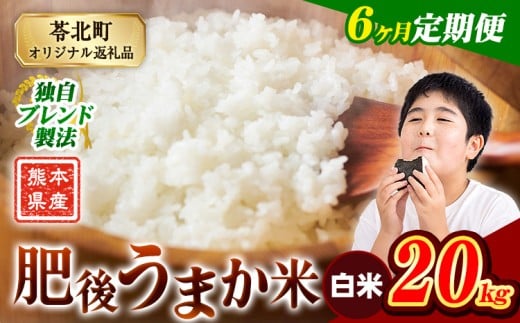 【6か月定期便】米 白米 熊本県産 肥後うまか米 20kg 精米 こめ  コメ お米 おこめ ブレンド米《申込月の翌月から出荷開始》熊本県産  コメ お米 おこめ 2270621 - 熊本県苓北町