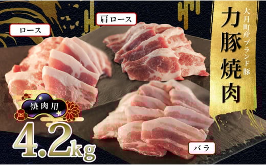 【高知県 大月町産ブランド豚】力豚焼き肉4.2kgセット 2262377 - 高知県大月町