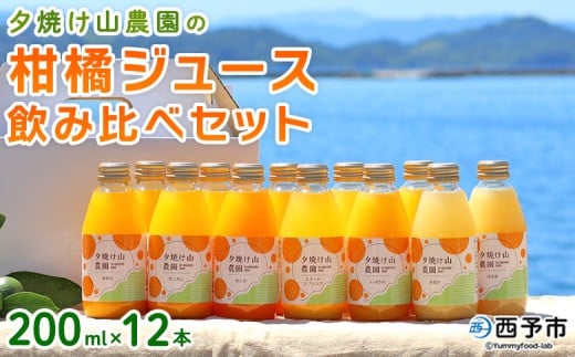 ＜夕焼け山農園の柑橘ジュース 飲み比べセット 200ml×12本＞ 6種 12本 ストレートジュース 柑橘 果物 みかん 蜜柑 ミカン 200ml 詰め合わせ セット ギフト ご自宅用 フルーツ 夕焼け山農園 特産品 愛媛県 西予市【常温】『1か月以内に順次出荷予定』
