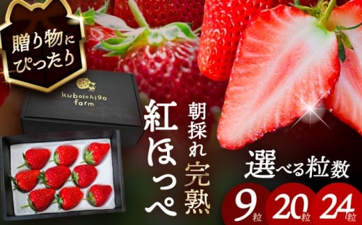 【先行予約】 ＼毎年12月より順次発送／ 紅ほっぺ 9粒 いちご 果物 フルーツ 愛西市 / くぼ苺農園 【配達不可：北海道・沖縄・離島】 [AECJ008]