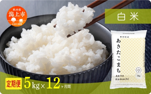 《新米 先行予約 10月発送》 定期便 米 あきたこまち 令和7年産 白米 5kg(5kg×1) × 12ヶ月 5kg袋 選べる容量 定期 5キロ 小分け 3ヶ月 6ヶ月 12ヶ月 3回 6回 12回 米 お米 おこめ コスパ こめ コメ kome 潟上市 秋田県 送料無料 【秋田のこまち農場】