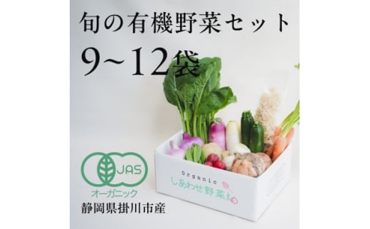 ＜毎月定期便＞しあわせ野菜畑の有機野菜　Lセット　(安心の有機JAS認証　オーガニック野菜)全3回【4066011】