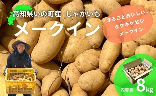 じゃがいも8kg（メークイン）