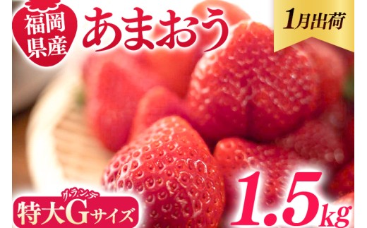 福岡県産 あまおう 1500g （250g×6パック） いちご 1月中発送 いちご 苺 フルーツ 果物 くだもの 大粒Gサイズ グランデ 農家直送 大粒 不揃い 福岡県 福岡 九州 グルメ お取り寄せ