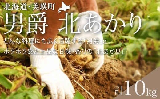 【先行予約】じゃがいも（男爵・北あかり）計10kg <令和7年産 >黒木農場  | 人気 おすすめ ランキング いも 芋 イモ じゃがいも ジャガイモ 男爵 北あかり きたあかり キタアカリ 北海道 野菜[010-209]