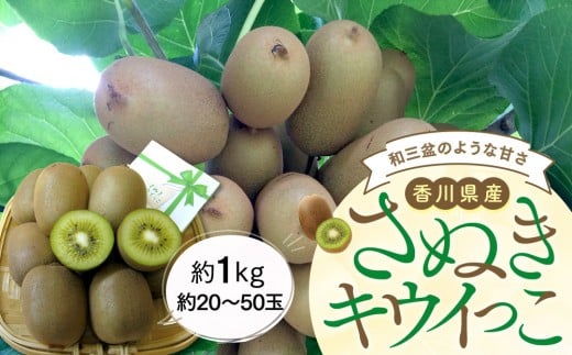 【11月上旬頃～発送】さぬきキウイっこ 約1kg (約20～50玉)