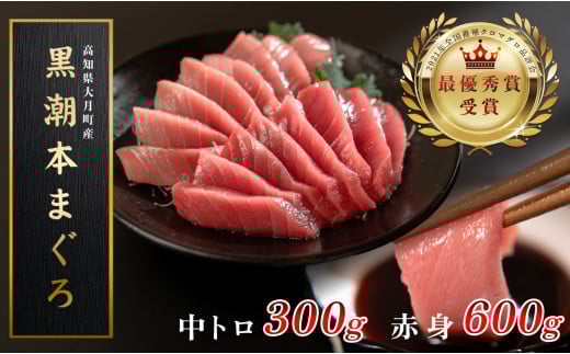 【高知県大月町産 本マグロ】 中トロ・赤身900g