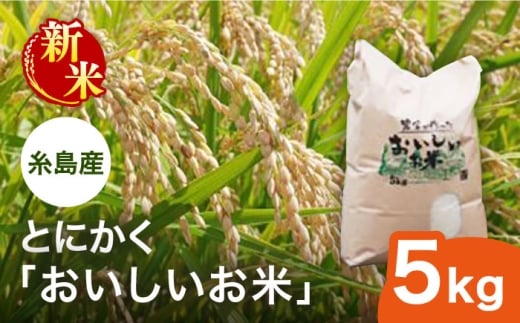 【先行受付】【令和7年産新米】とにかくおいしいお米 ひのひかり 5kg 【2025年10月以降順次発送】糸島市 シーブ [AHC021]