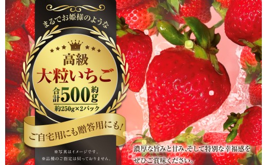 『まるでお姫様のような高級大粒いちご』 大粒いちご 250g×2パック 約500g