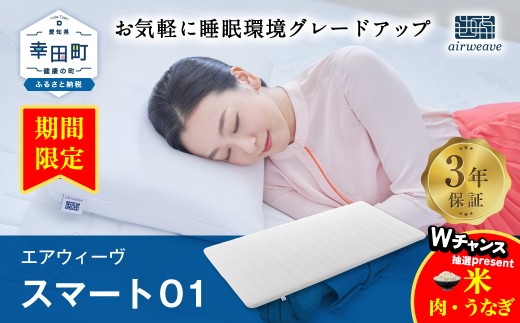 エアウィーヴ スマート01 ( シングル サイズ )