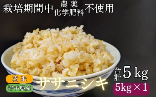 岩手県産のササニシキです!