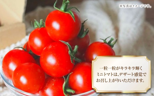 『まるでフルーツのような特選ミニトマト』 約3kg