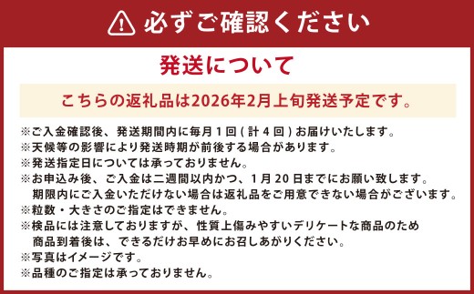 【年4回定期便】熊本の魅力たっぷりな定期便 