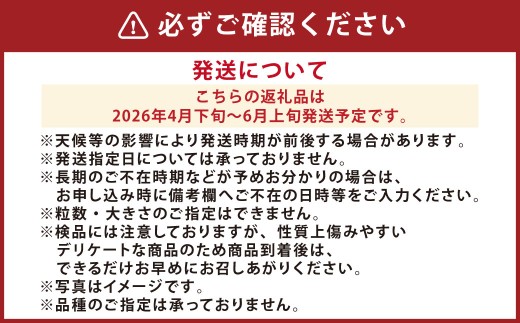 『まるで果物の王様！贅沢メロン』 2玉セット 