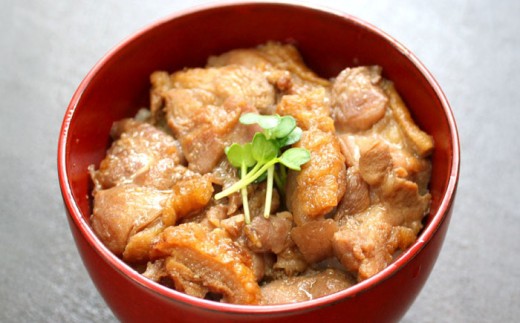 【全12回定期便】【冷凍】合鴨親子丼の素・合鴨テリヤキ丼の素 各6 計12パックセット 合鴨 テリヤキ 丼の素 簡単 ご飯のお供