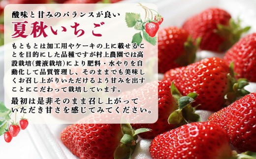 【先行予約：数量限定】北海道羽幌産 なついちご1kg（350g×3）（2026年7月より発送）