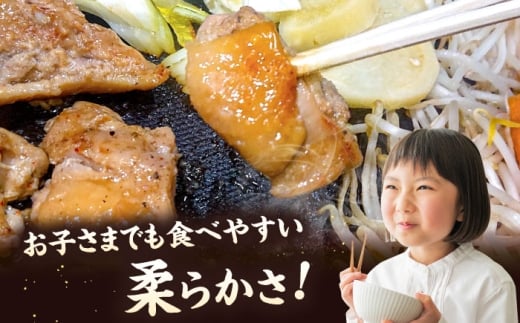 ジンギスカン 鶏肉 焼肉用 味付き 小分け 冷凍配送 北海道