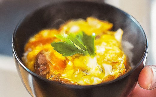 【冷凍】合鴨 親子丼の素×12パック 合鴨 親子丼の素 鴨肉 本格派 風味豊か 簡単調理 時短 だし付き 贅沢 ヘルシー
