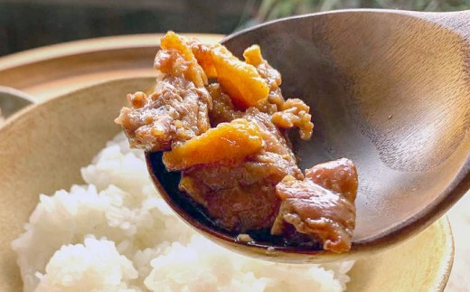 【冷凍】合鴨テリヤキ丼の素×6パック 合鴨 テリヤキ 丼の素 簡単 料理 キット ご飯のお供 グルメ お取り寄せ 特産品