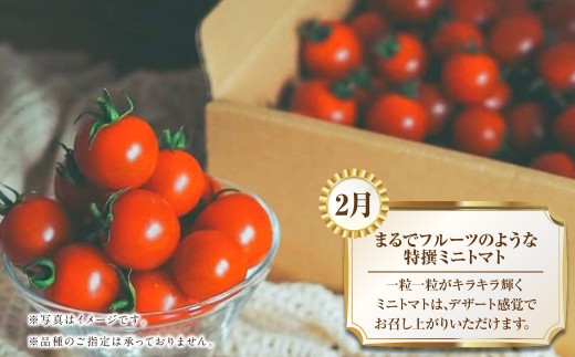 【年4回定期便】熊本の魅力たっぷりな定期便 