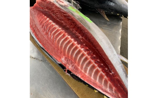 【直送マグロ使用】まぐろパック 特製漬けタレ付き お試し 120ｇ×(1~10パック) 塩竈市 塩釜 TUNA まぐろ屋やまもと