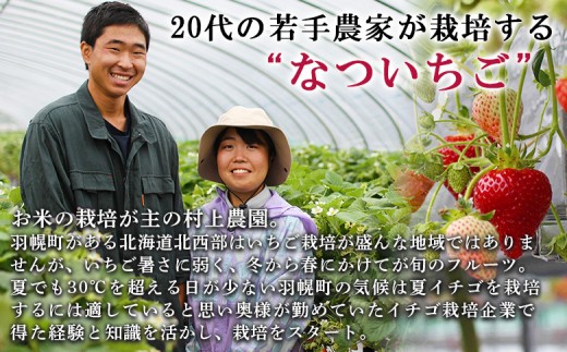 【先行予約：数量限定】北海道羽幌産 なついちご1kg（350g×3）（2026年7月より発送）