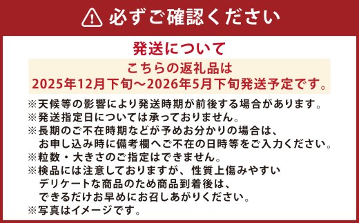 『まるでフルーツのような特選ミニトマト』 約3kg
