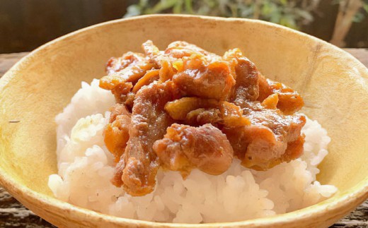 【冷凍】合鴨テリヤキ丼の素×6パック 合鴨 テリヤキ 丼の素 簡単 料理 キット ご飯のお供 グルメ お取り寄せ 特産品
