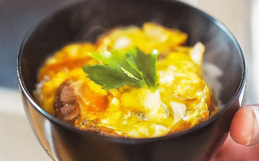 【冷凍】合鴨親子丼の素・合鴨テリヤキ丼の素 各3 計6パックセット 合鴨 テリヤキ キット ご飯のお供 グルメ お取り寄せ